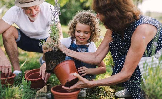 5 bonnes raisons de faire de la poterie en famille